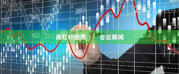 高杠杆股票        会议期间
