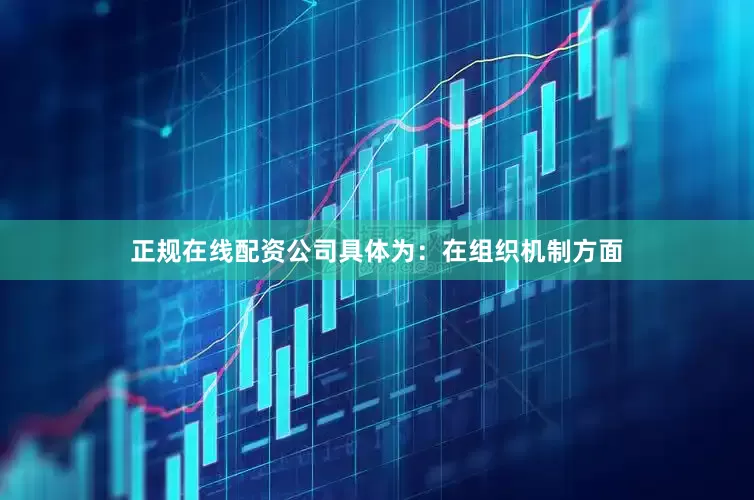 正规在线配资公司具体为：在组织机制方面
