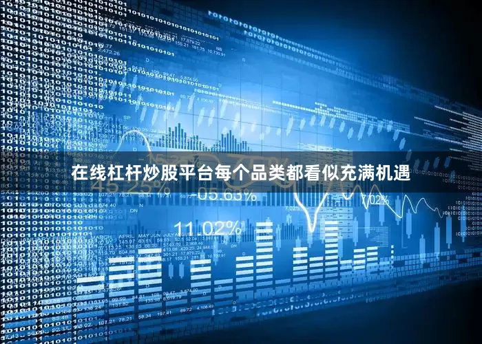 在线杠杆炒股平台每个品类都看似充满机遇